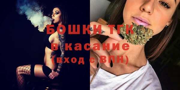 дживик Абаза