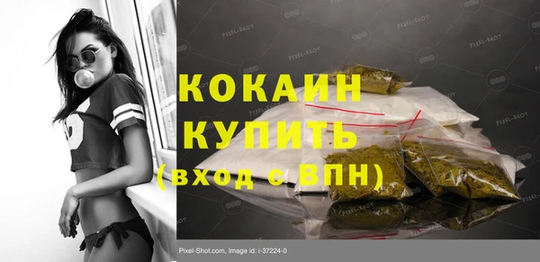 дживик Абаза
