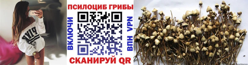 Галлюциногенные грибы MAGIC MUSHROOMS  как найти   Альметьевск 