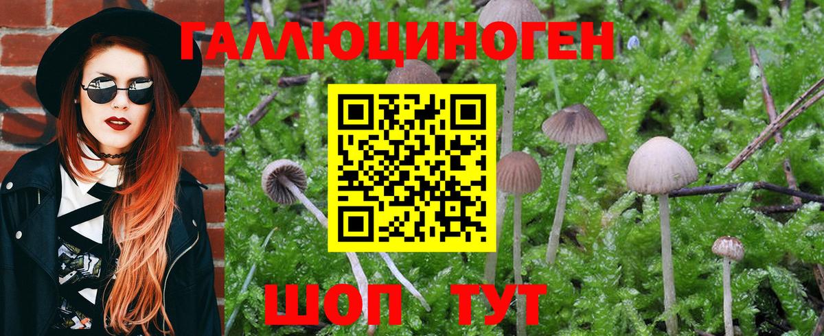 Псилоцибиновые грибы мухоморы Альметьевск