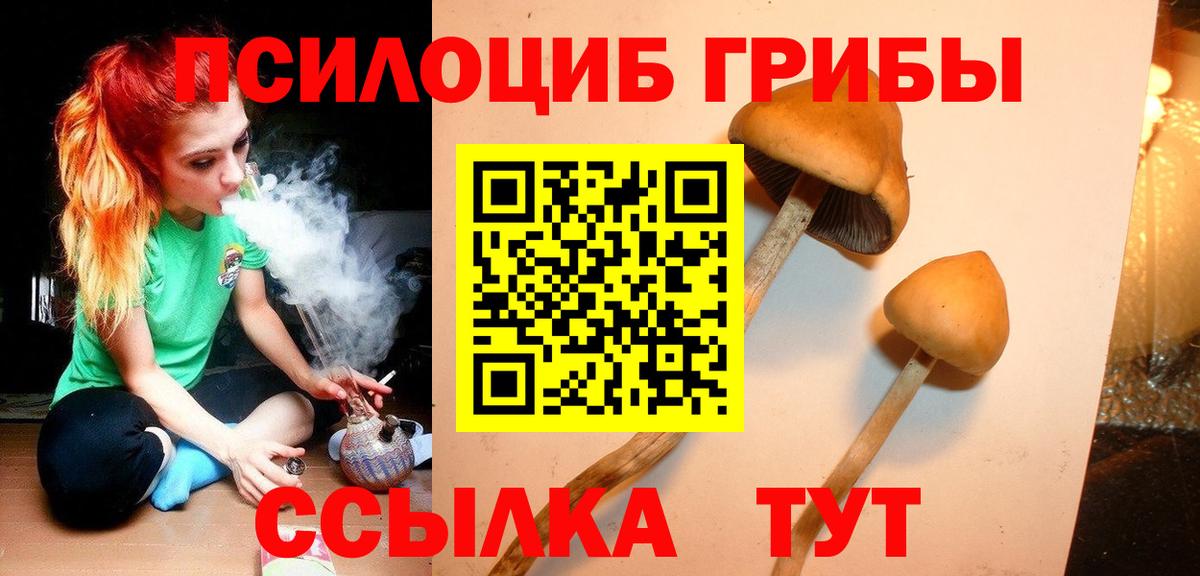 Альметьевск  Псилоцибиновые грибы мухоморы  Вход с VPN 